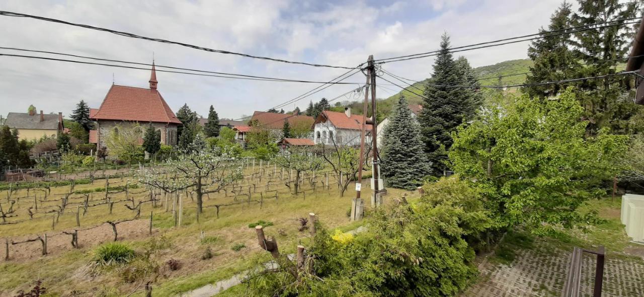 Nagy Vendeghaz Penzión pre hostí Badacsonytomaj